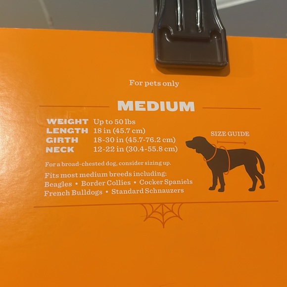 Rainbow pet costume - Picture 3 of 4